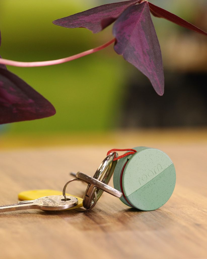 Keys with Roam tracker beautifully attached showing sage green color